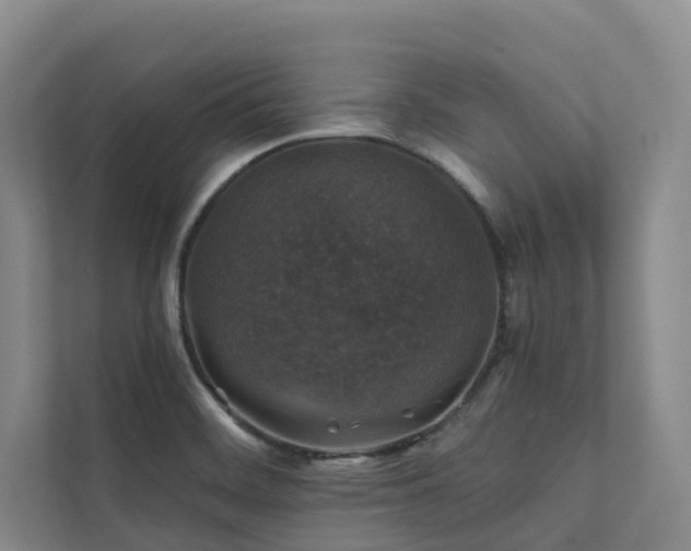 X0000111381468200907101116