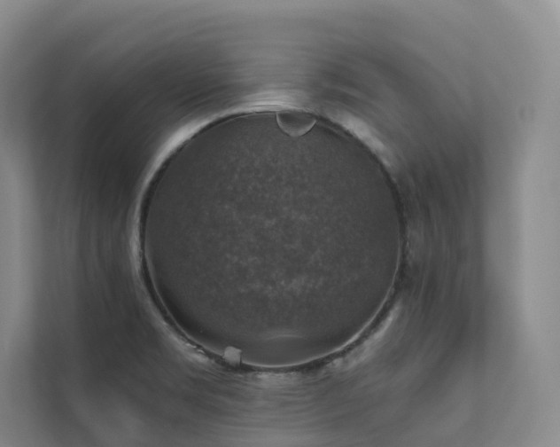 X0000111381469200907101116