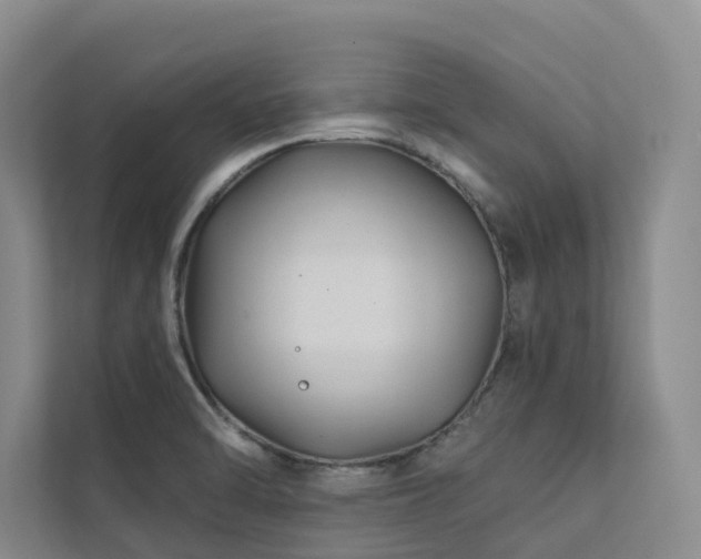 X0000111381470200907101116