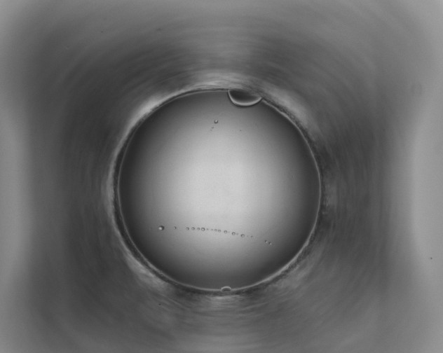 X0000111381471200907101116