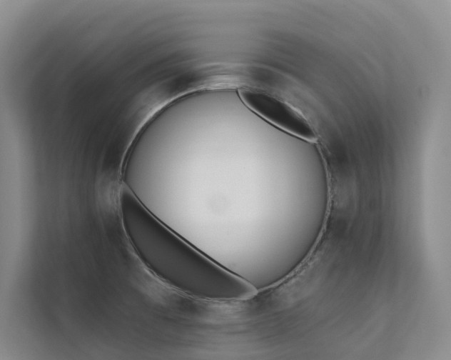 X0000111381473200907101116