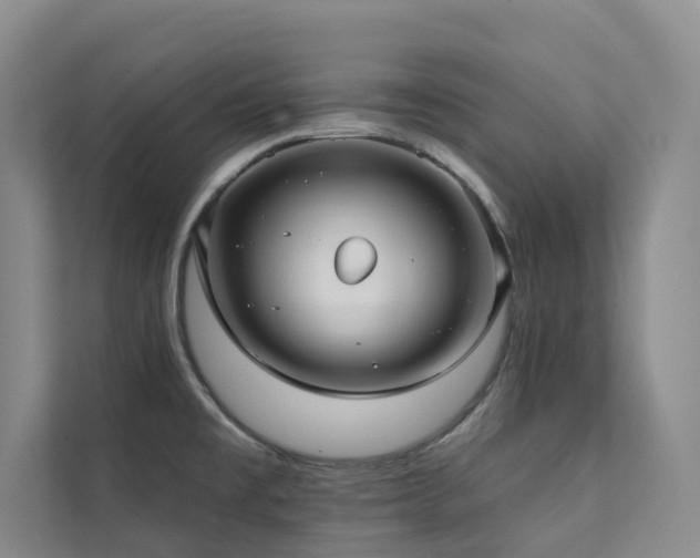 X0000111381477200907101116