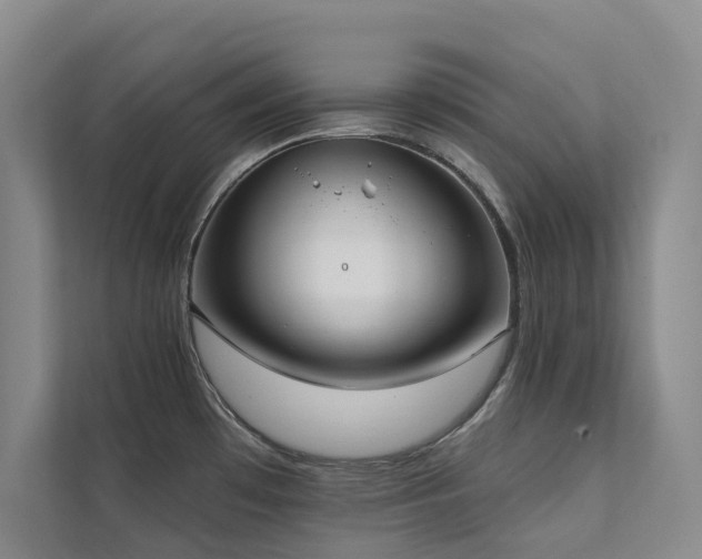 X0000111381481200907101116