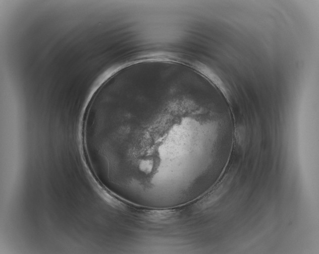 X0000111381482200907101116