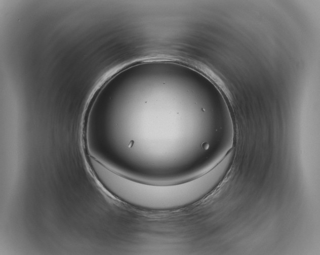 X0000111381485200907101116