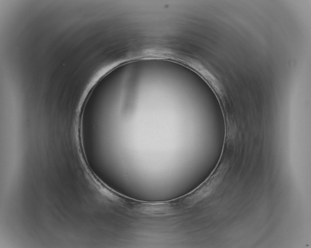X0000111381486200907101116
