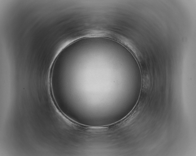 X0000111381487200907101116