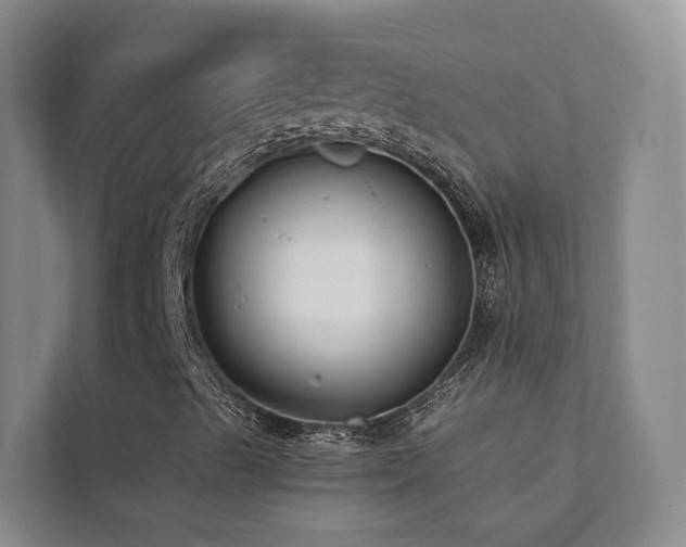 X0000111381489200907101115
