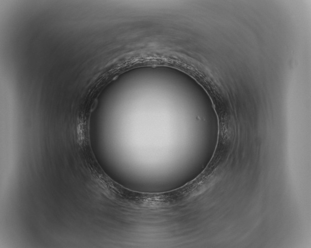X0000111381490200907101115