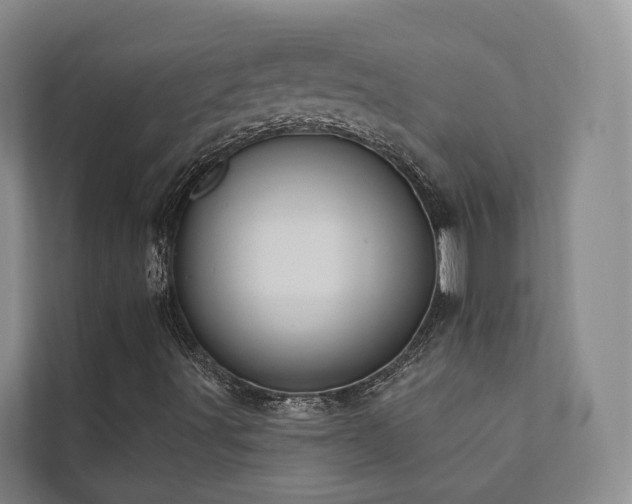X0000111381491200907101115