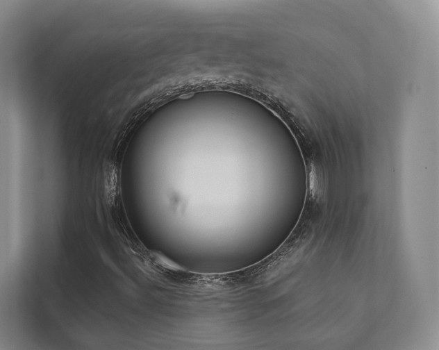 X0000111381492200907101115