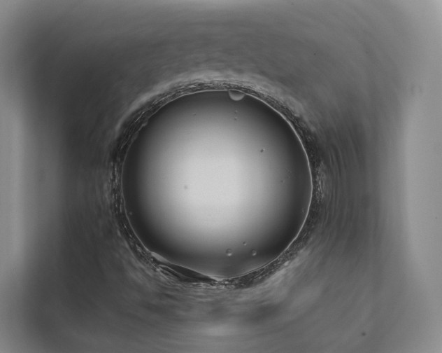 X0000111381494200907101115