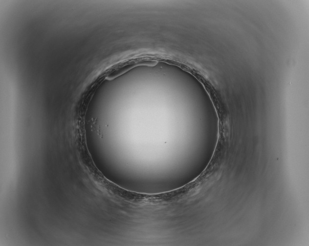X0000111381496200907101115