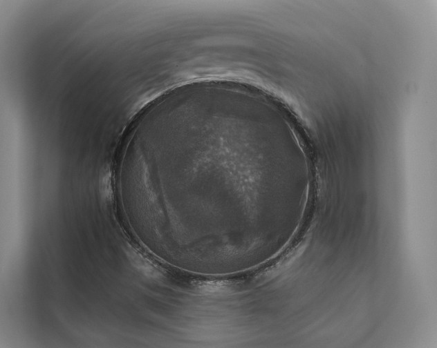 X0000111381497200907101115