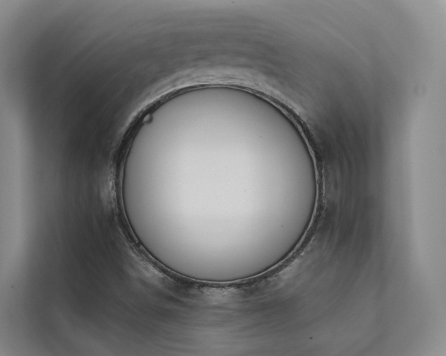 X0000111381498200907101115