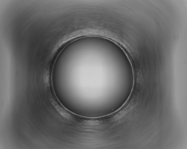 X0000111381499200907101115