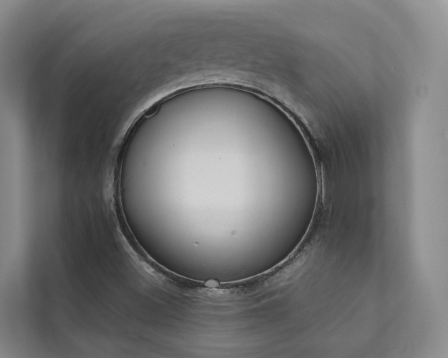 X0000111381500200907101115