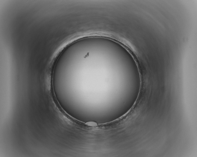 X0000111381504200907101115