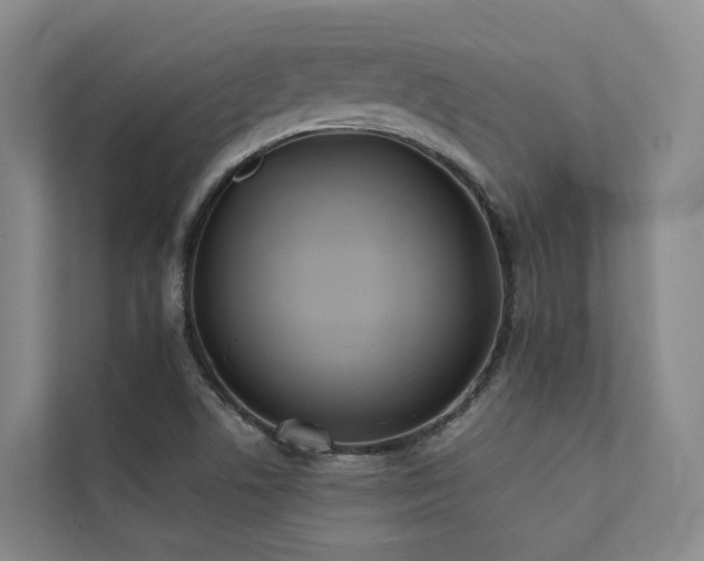 X0000111381506200907101115