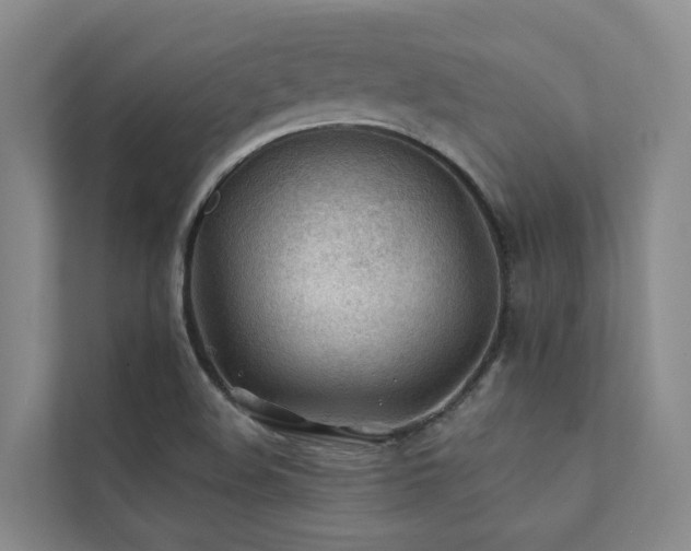 X0000111381508200907101115
