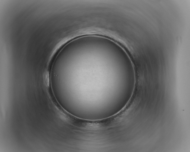 X0000111381509200907101115