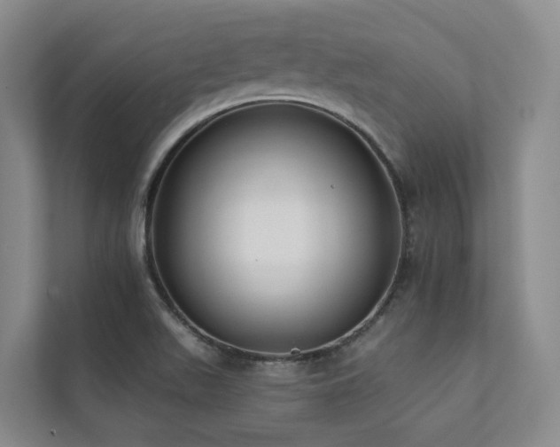 X0000111381511200907101115