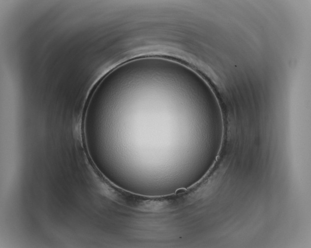 X0000111381513200907101115