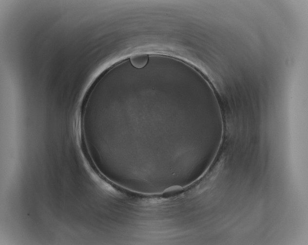 X0000111381515200907101115