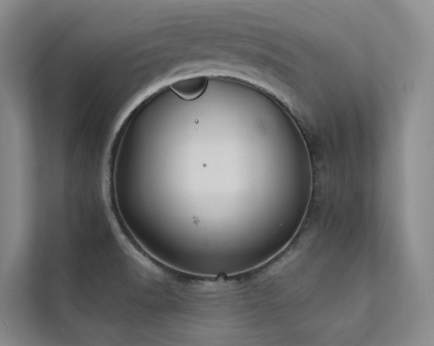 X0000111381518200907101115