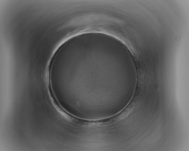 X0000111381519200907101115