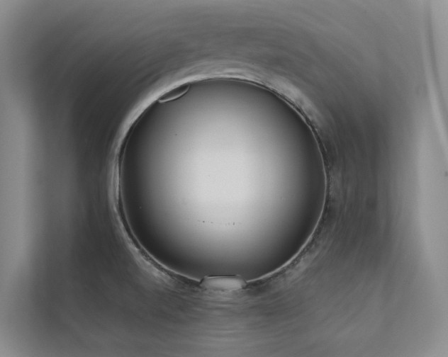 X0000111381520200907101115