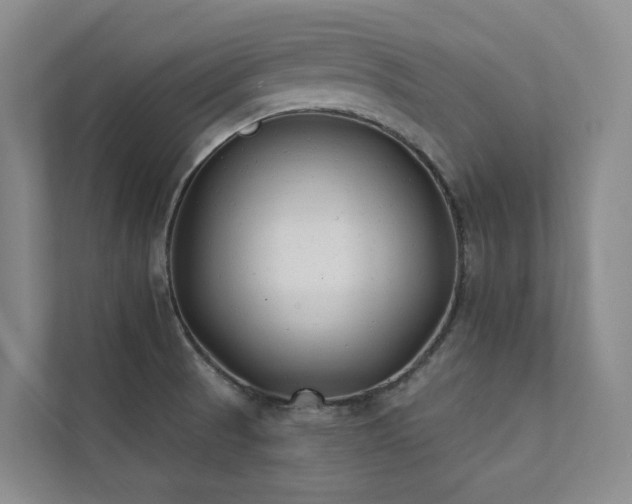 X0000111381521200907101116