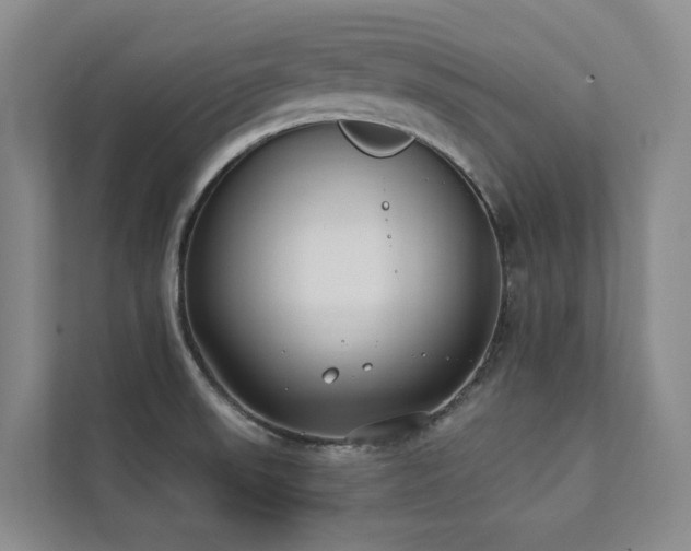 X0000111381523200907101116
