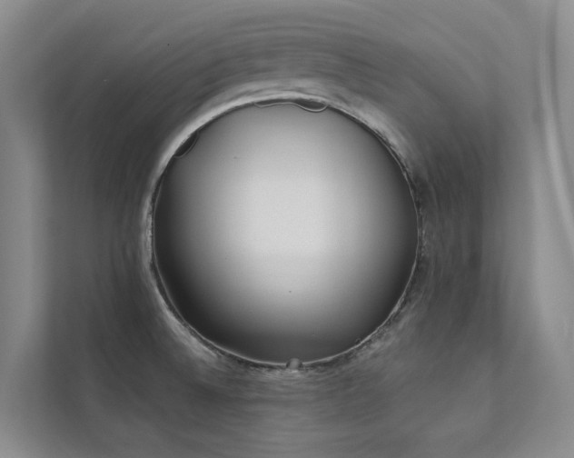X0000111381524200907101116