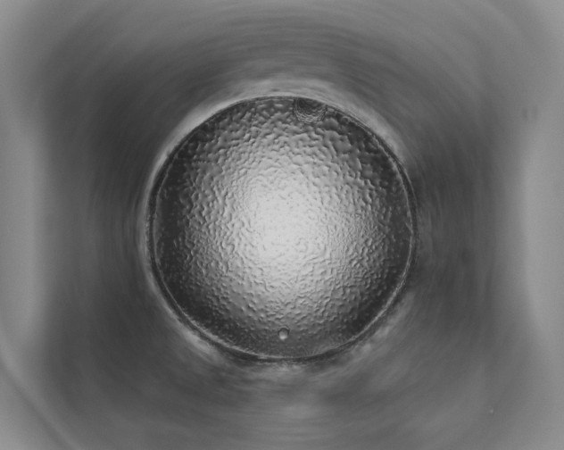 X0000111381525200907101116