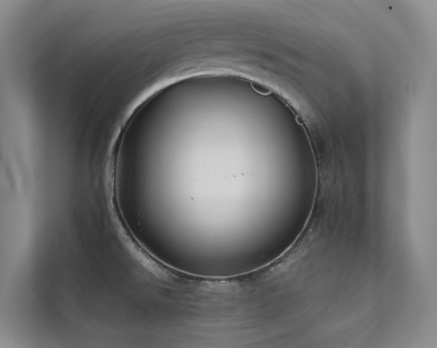 X0000111381526200907101116