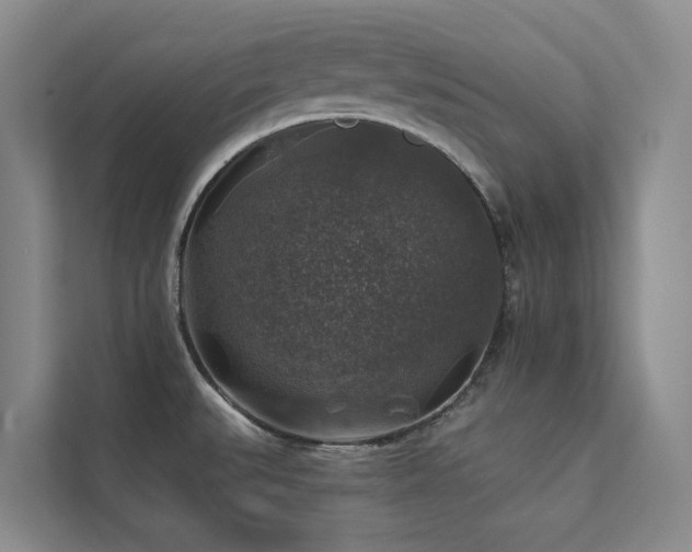 X0000111381527200907101116