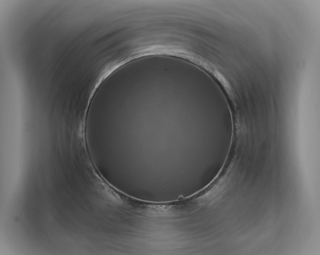 X0000111381529200907101116