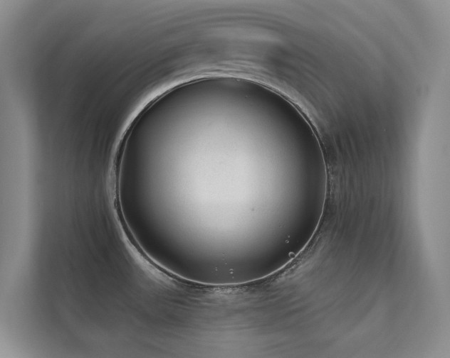 X0000111381531200907101116