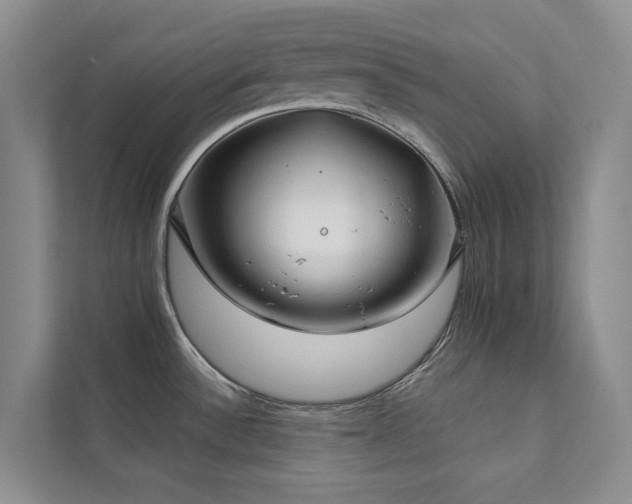 X0000111381532200907101116