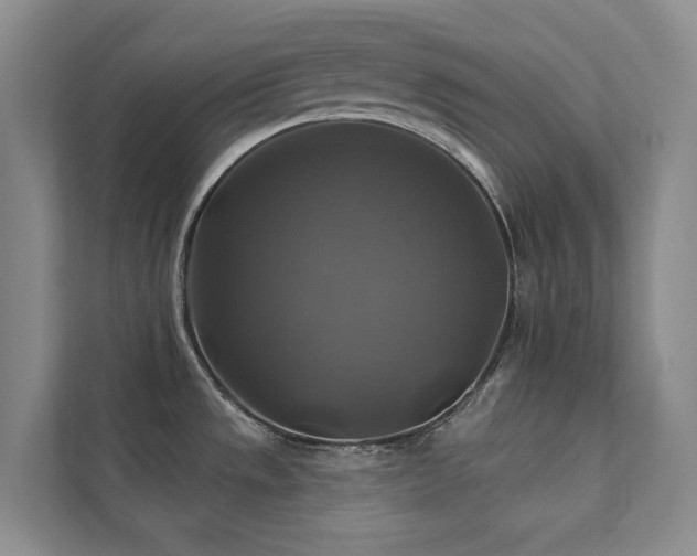 X0000111381533200907101116