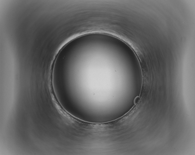 X0000111381534200907101116
