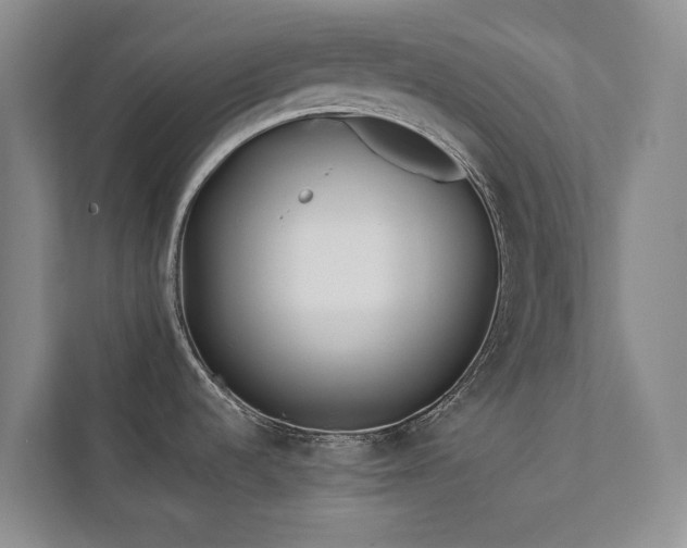 X0000111381536200907101116