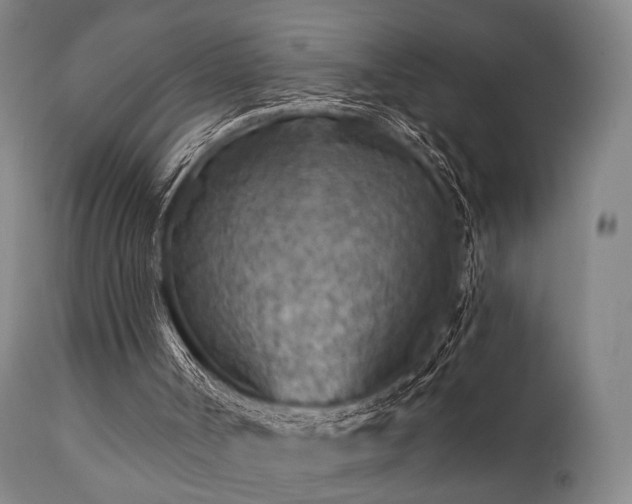 X0000111380002200907171233