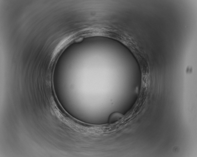 X0000111380004200907171233