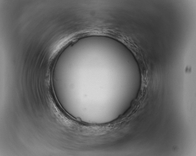 X0000111380005200907171233