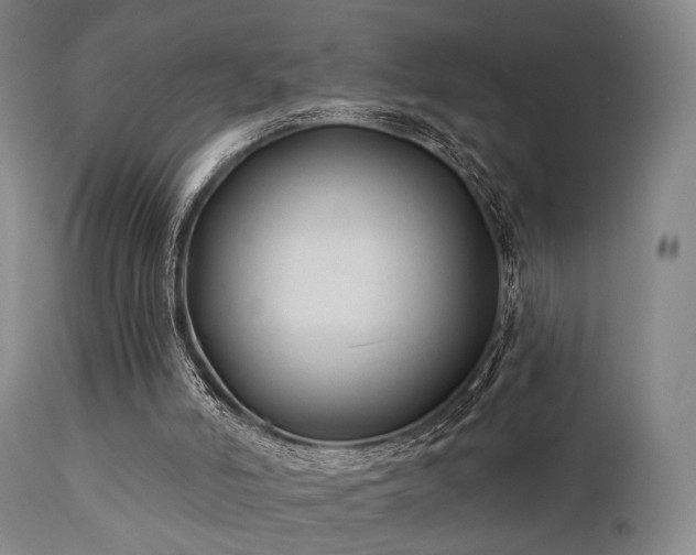 X0000111380006200907171233