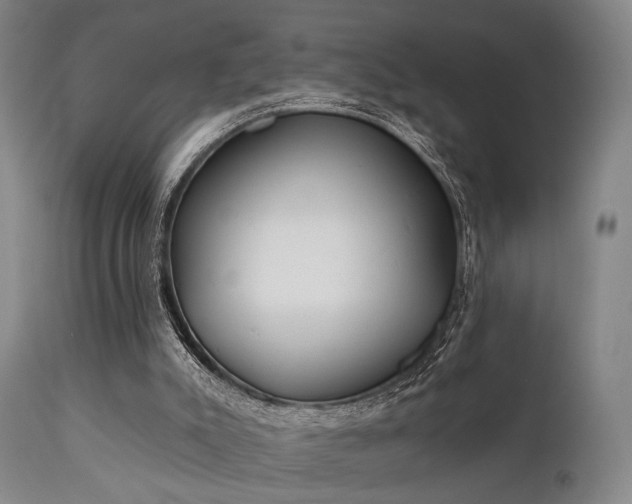 X0000111380007200907171233