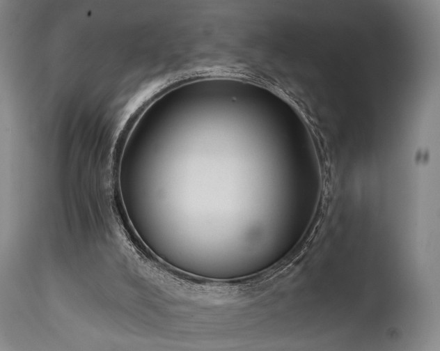 X0000111380008200907171233