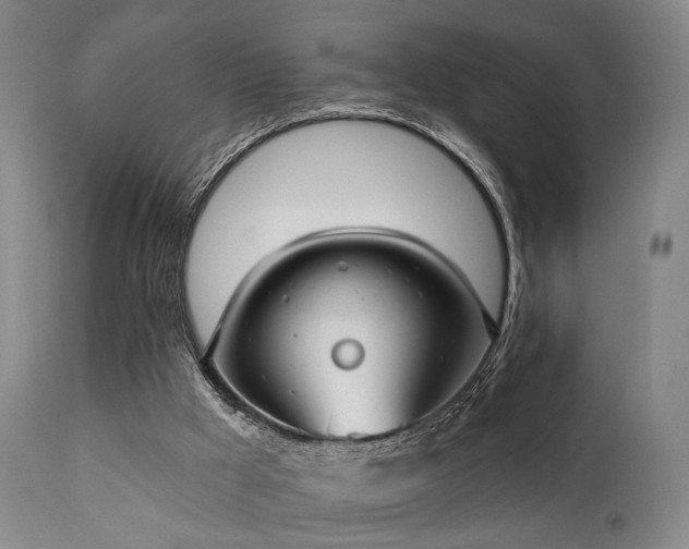 X0000111380009200907171233